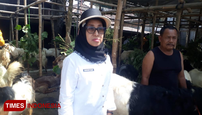 dokter-hewan-kurban-2.jpg
