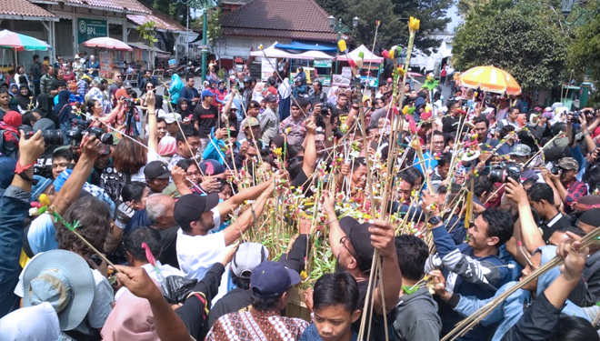 Suasana Garabeg Besar 1440 H yang digelar Keraton Ngayogyakarta Hadiningrat di Puro Pakualaman, Senin (12/8/2019). (FOTO: Istimewa/TIMES Indonesia)