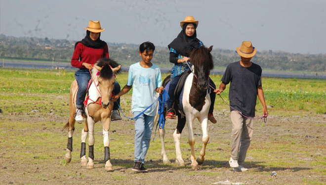 The horse riding at Batujai Central Lombok