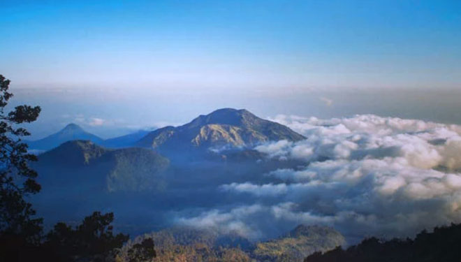 Gunung Lawu (FOTO: Tagar/Morteza Syariati Albanna)