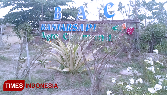 Banjarsari-Agro-Community-3.jpg