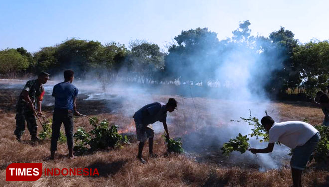 Kodim 1601 Sumba Timur Berhasil Padamkan Kebakaran Lahan di Desa Kuruwaki