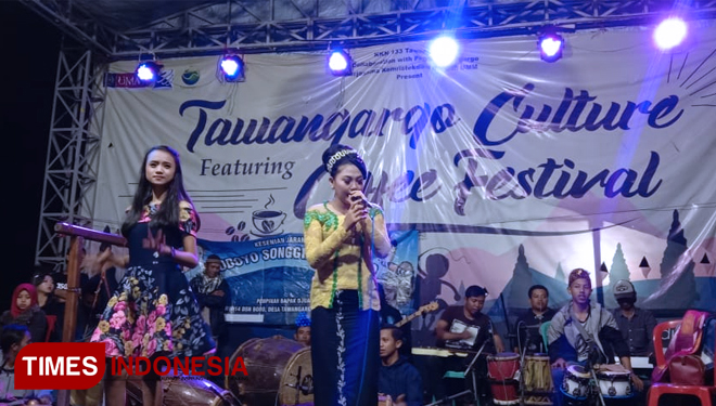 Penampilan musik saat acara Tawangarjo Culture Festival oleh KKM 133 UMM di Lapangan Desa Tawangarjo, Karangploso, Kabupaten Malang. (Foto: Naufal Ardiansyah/TIMES Indonesia)