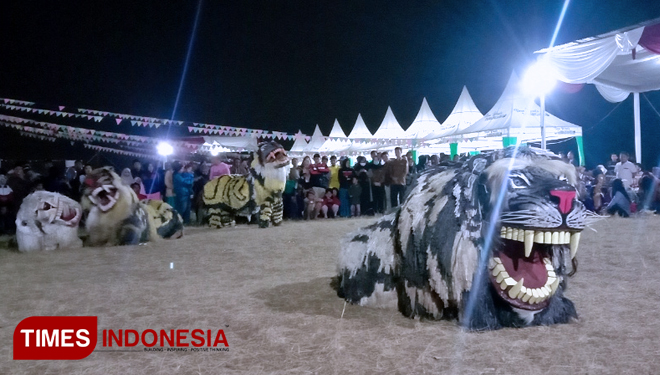 Singo Arema saat menunjukkan atraksinya dikelilingi ribuan penonton. (Foto: Naufal Ardiansyah/TIMES Indonesia)