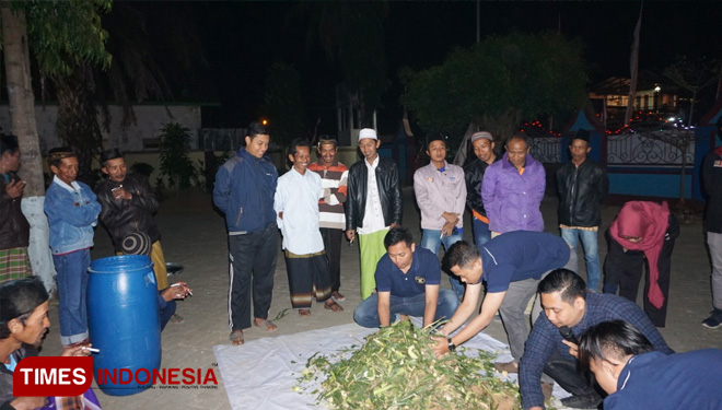 KKN 21 UMM Gelar Penyuluhan dan Pelatihan Pakan Fermentasi Ternak untuk Sapi