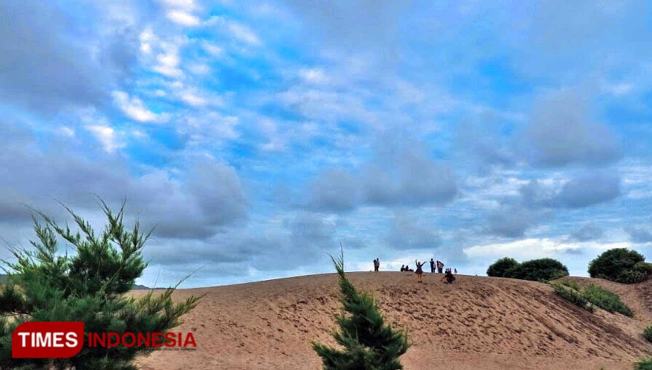 Kawasan Cagar Alam Geologi gumuk pasir Parangtritis, Kretek. (FOTO: Istimewa/TIMES Indonesia)