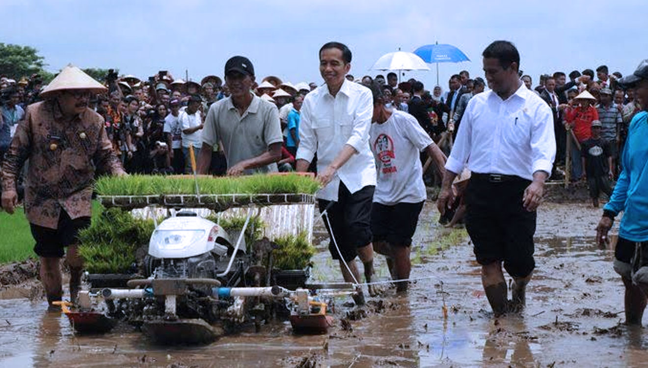Menteri Pertanian, Andi Amran Sulaiman (dua kanan) bersama Presiden Jokowi ikut beraktifitas di sawah warga. (Foto: Dok.Kementan)