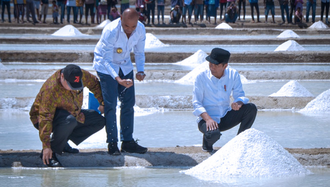 Presiden Jokowi didampingi Menperin dan Gubernur NTT meninjau tambak garam, di Desa Nunkurus, Kecamatan Kupang Timur, Kabupaten Kupang, Nusa Tenggara Timur (NTT), Rabu (21/8/2019). (FOTO: Setkab.go.id)