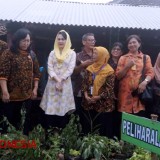 Arumi Dardak Nilai Langsung Lomba Asman Toga & Akupresur di Desa Kebobang Kab. Malang