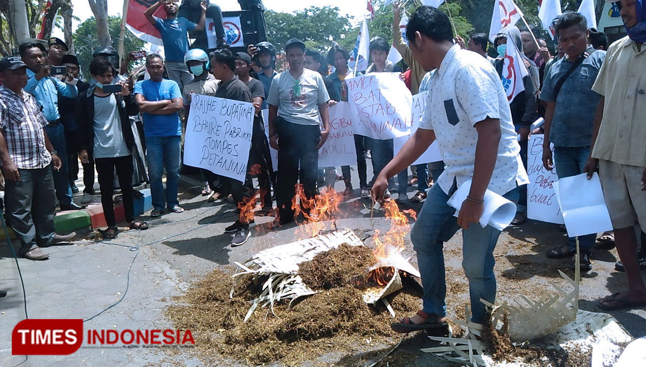 Harga Anjlok Petani Tembakau Tuntut Janji Kampanye Bupati