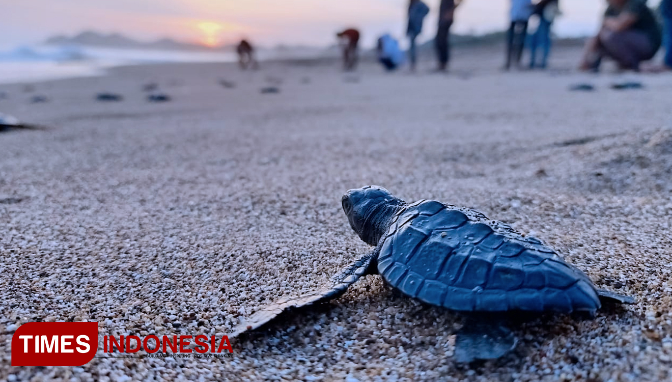 Doktorda jinsiy aloqa mashinasi