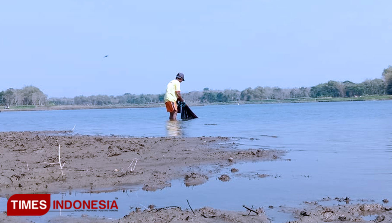 Debit Lima Waduk Menurun, Ribuan Hektar Lahan Pertanian Di Sragen ...