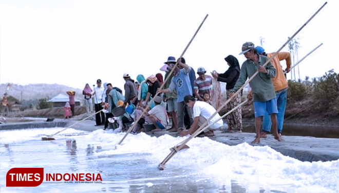 Panen-Raya-Garam-2.jpg