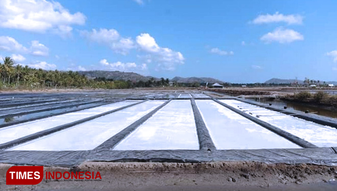 Petani-Garam-2.jpg
