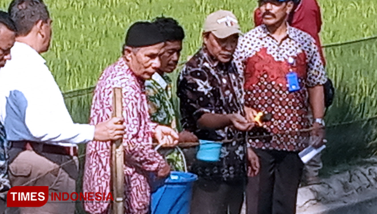 Direktur Jenderal Perikanan Budidaya KKP RI, Slamet Subiakto saat meninjau lokasi Program Minapadi di Dusun Nglebeng, Desa Tamanan, Banguntapan, Bantul DIY, Kamis (5/9/2019). (FOTO: Totok Hidayat/TIMES Indonesia)