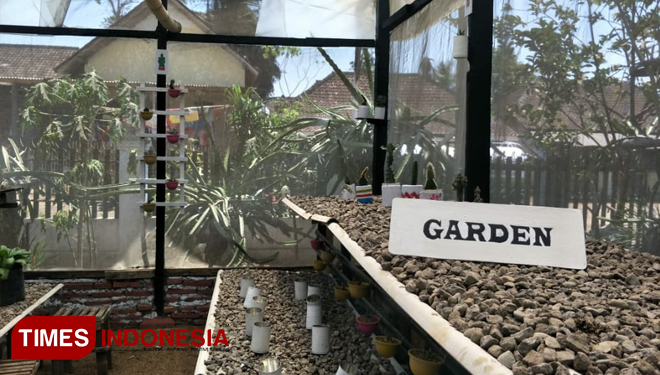 Creative-Garden-3.jpg