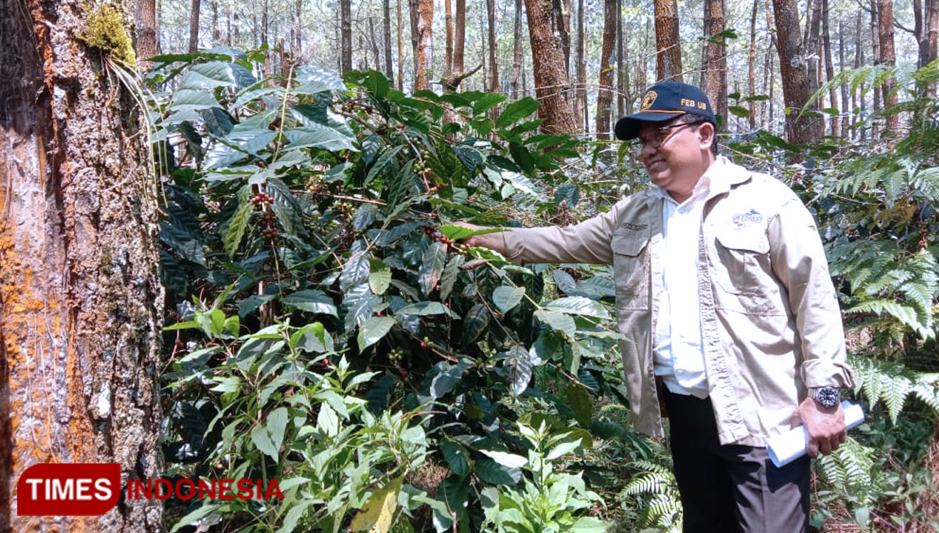 Sasar Coffee Shop, UB Forest Kembangkan Biji Kopi dari Gunung Arjuno
