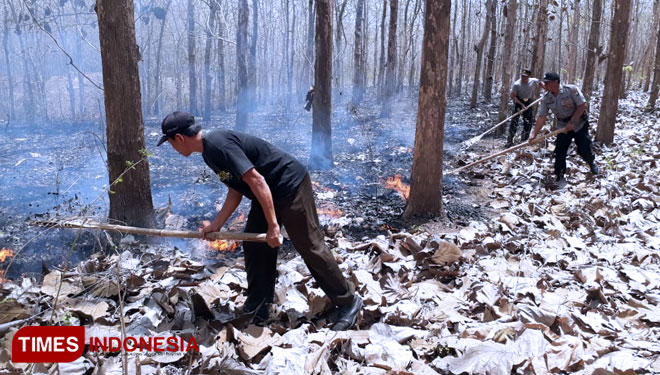 Ilustrasi. Kebakaran hutan dan lahan. (FOTO Dok. TIMES Indonesia)