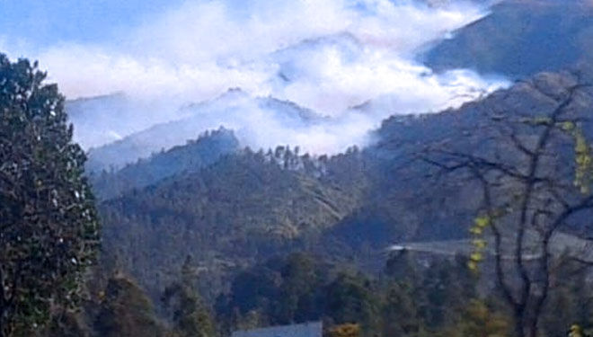 Kebakaran yang melanda Gunung Merbabu. (Foto: Istimewa)