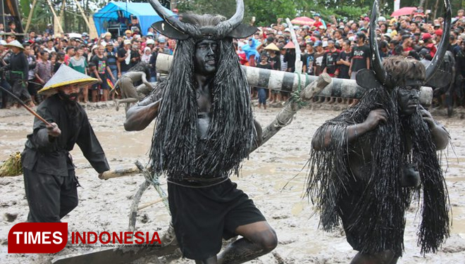 Festival Kebo-keboan Banyuwangi. (Picture by: Agung Sedana/TIMES Indonesia)