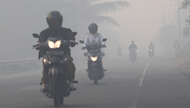 Kabut Asap Riau Semakin Pekat, Aktivitas Penerbangan Terganggu
