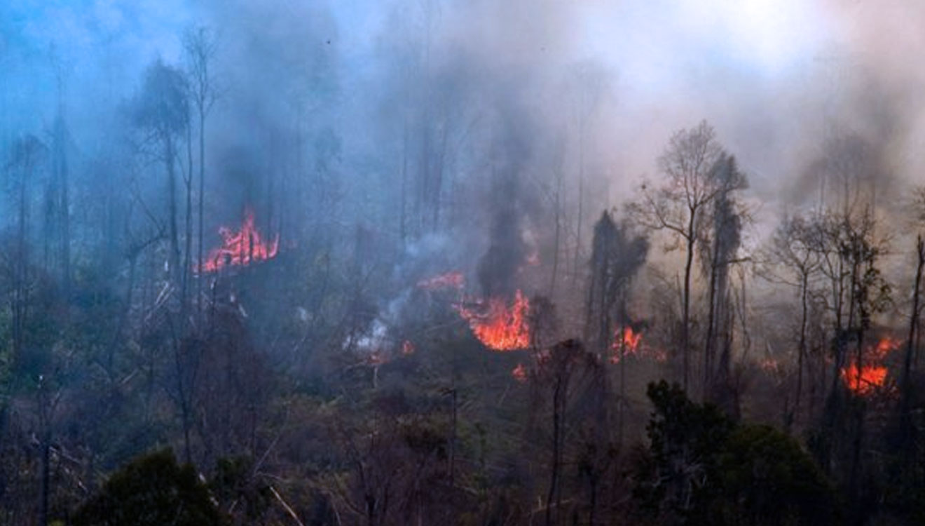 Ilustrasi Kebakaran hutan dan lahan. (Foto: Istimewa/Banda Haruddin Tanjung)