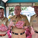 Stabilkan Harga, Pemkab Bantul Gelar Aksi Peduli Petani Bawang Merah