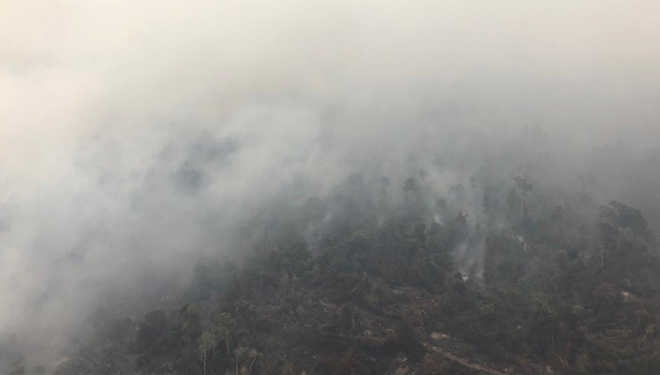 Kebakaran hutan dan lahan di Sumatera Selatan.