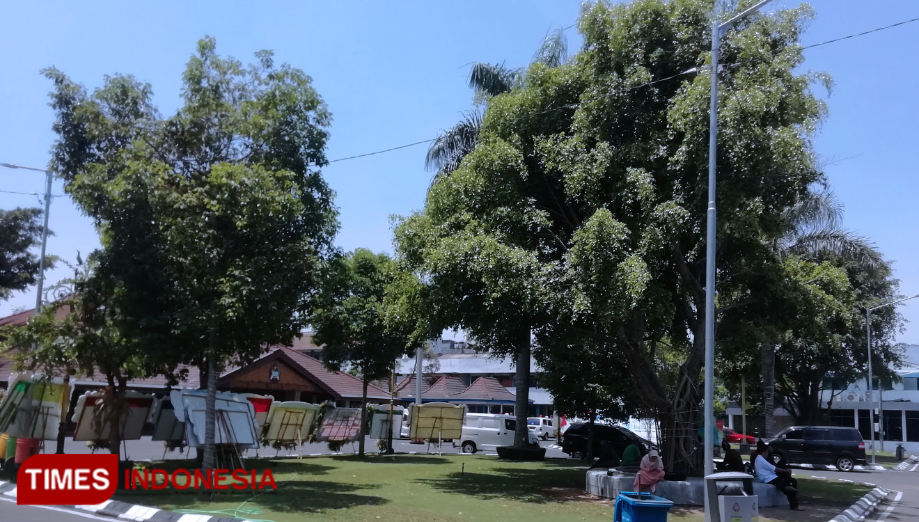 Kondisi pohon beringin di Pendapa Agung Kabupaten Malang yang dipangkas. (Foto : Binar Gumilang/TIMES Indonesia)