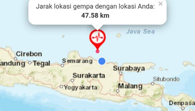 Titik Gempa Bumi yang terjadi di utara pantai Tuban, Kamis, (19/09/2019)(Foto: Istimewa)