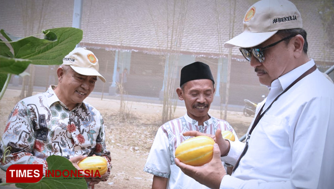 Inspektur IV Itjen Kementan drh IGMN Kuswandana, MM dan Bupati Malang, Drs HM Sanusi MM saat meninjau melon Chamoe. (FOTO: Humas Pemkab Malang for TIMES Indonesia)