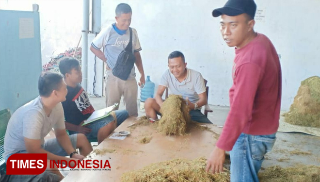 Proses sortir tembakau di salah satu gudang tembakau di Pamekasan oleh para bandol dan perwakilan pengusaha. (Foto: Putera Khafi/TIMES Indonesia). 