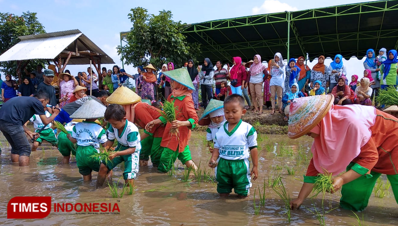 Siswa TK di Desa Plumpungrejo, Kecamatan Kademangan, Kabupaten Blitar mengikuti kegiatan 'Menanam Bersama', Sabtu (21/9/2019). (Foto: Sholeh/TIMES Indonesia)
