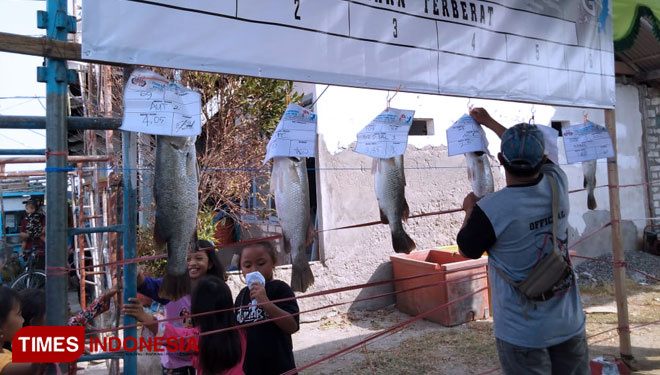 Ikan baramundi raksasa dipamerkan di Muara Bengawan Solo (Foto: Akmal/TIMES Indonesia).