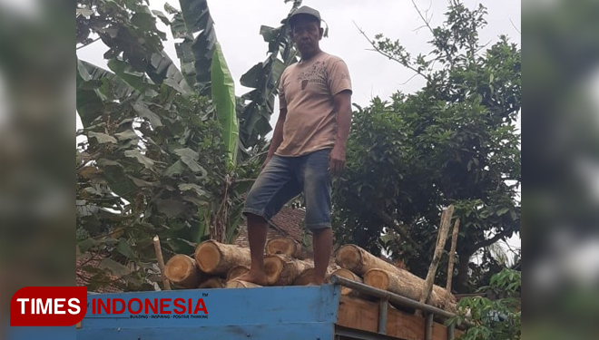 Kayu jati yang diduga hasil ilegal logging. (Foto: Rizki Alfian/TIMESIndonesia)
