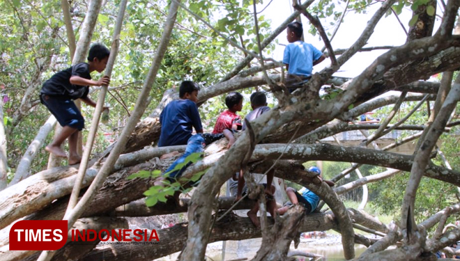 Anak-anak sedang Melihat Lomba dari Atas Pohon. (FOTO: AJP TIMES Indonesia)