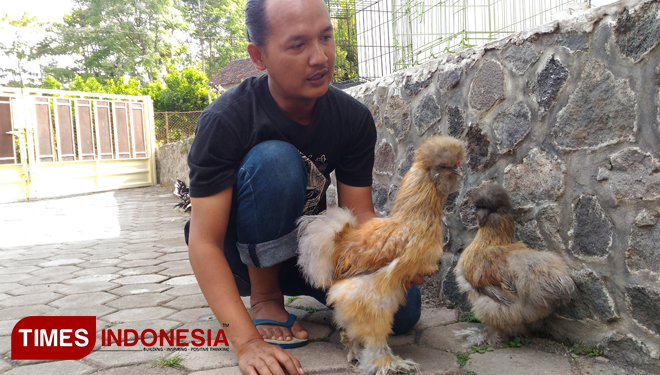 Rully Wicaksono dan ayam-ayam hias yang dipeliharanya. (foto: Muhammad Dhani Rahman/TIMES Indonesia) 