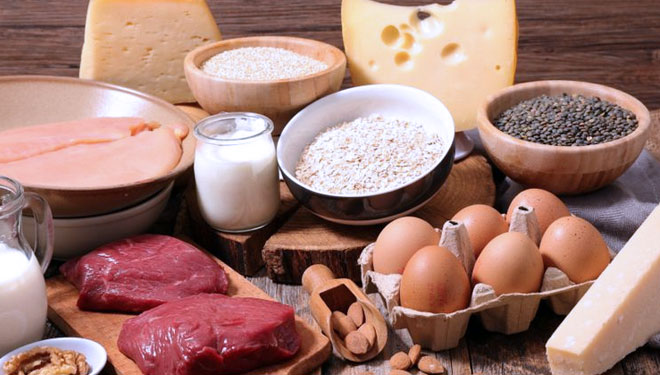 Ilustrasi - Makanan sumber protein (FOTO: margouillatphotos)