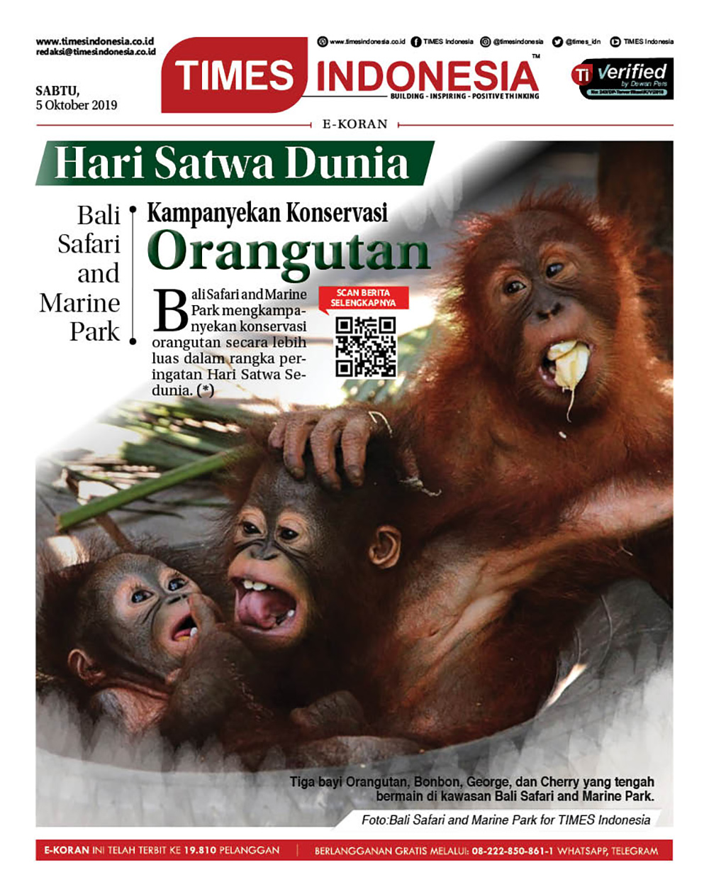 Edisi-Sabtu-5-Oktober-2019-hal-8-Monyet-bali64a90af27f4b1399.jpg