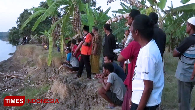 Keberadaan Buaya Di Bengawan Solo Lamongan Jadi Wisata Dadakan Times Indonesia