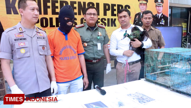 Polres Gresik Gagalkan Praktik Jual Beli Satwa Dilindungi