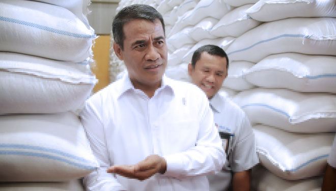 Mentan RI Pastikan Stok Beras Masih Melimpah di Musim Kemarau