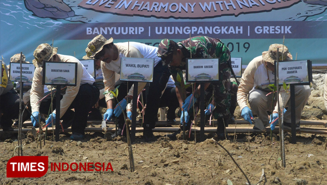PGN Saka Tanam 50 Ribu Bibit Mangrove di Pesisir Gresik