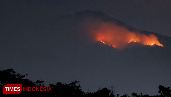 15 Hektare Hutan Gunung Arjuno di Singosari Terbakar ...