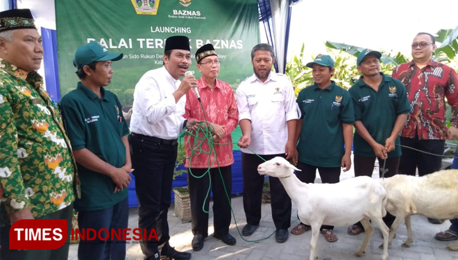 Baznas RI Berdayakan Masyarakat Gresik dengan Peternakan Kambing