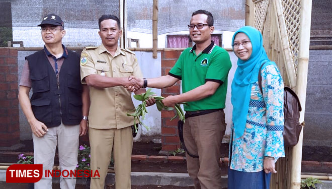 Petani di Bondowoso Mulai Kembangkan Vanili  TIMES Indonesia Petani di Bondowoso Mulai Kembangkan Vanili  TIMES Indonesia