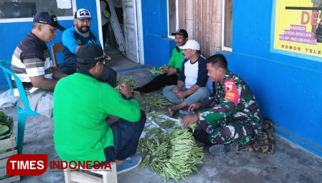Pendampingan Satgas TMMD Terhadap Gapoktan