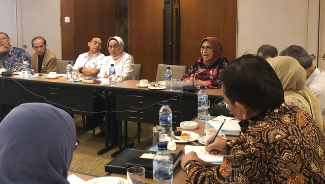 Soal Pemindahan Ibu Kota Negara, Hetifah Ajak Perhatikan Karakteristik Lokal