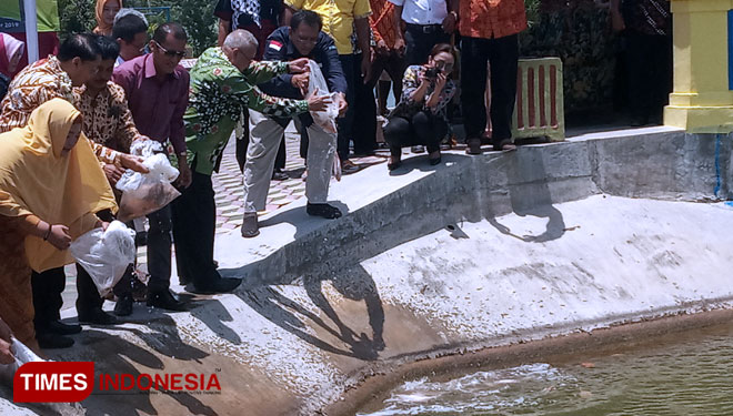 Anggota Komisi 7 DPR RI, Gandung Pardiman bersama Bupati Bantul Suharsono menebarkan ikan di Embung Merdiko Sumbermulyo Bambanglipuro Bantul, Minggu (13/10/2019). (FOTO: Totok Hidayat/TIMES Indonesia)