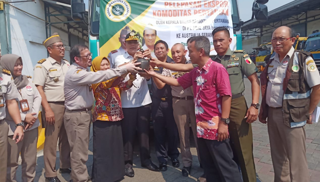 Kementan RI melepas ekspor perdana 20 ton kopi Amstirdam asal Jawa Timur ke Australia, Malang, Jawa Timur, Selasa (15/10). (Foto:Kementan RI)